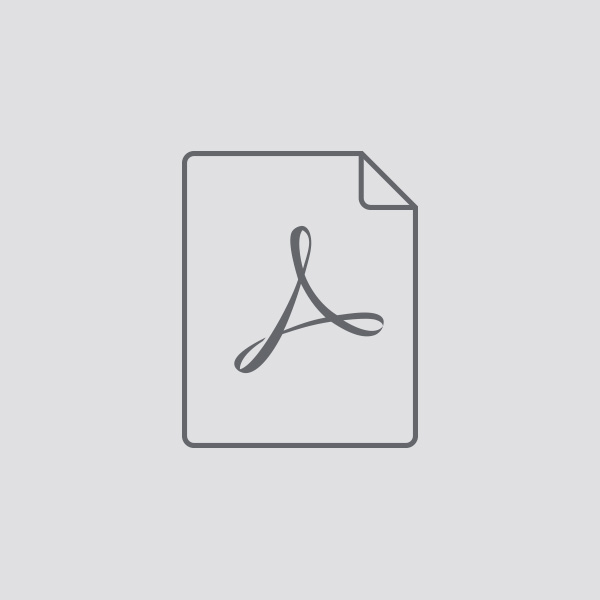 Icon PDF