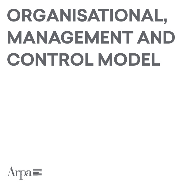 Organisation management and control model