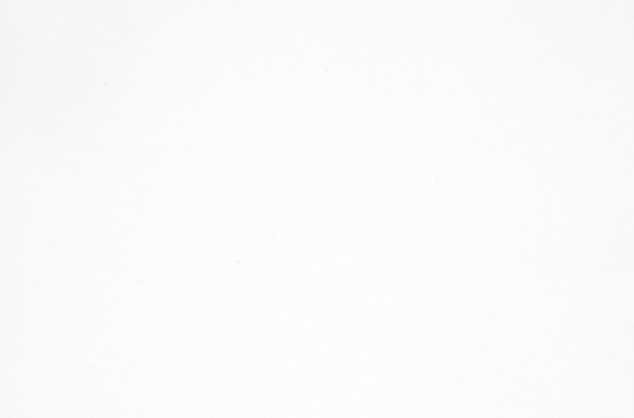 0001 Pf R Bianco Arpa Industriale