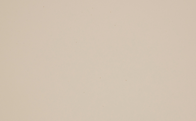 BEIGE - 0218