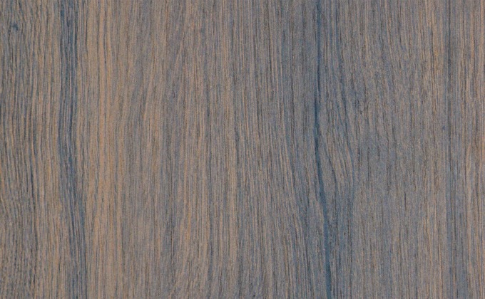 Myrtle Dark - 4657